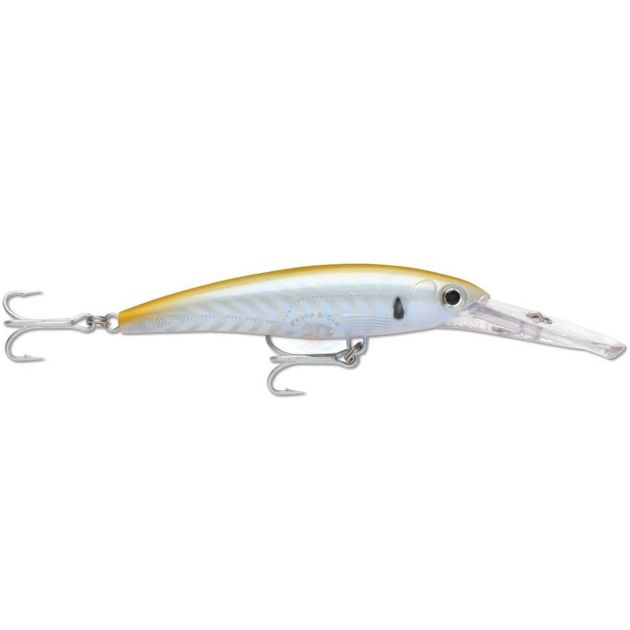 Isca Artificial Rapala X-Rap - Magnum 16 cm GOSC